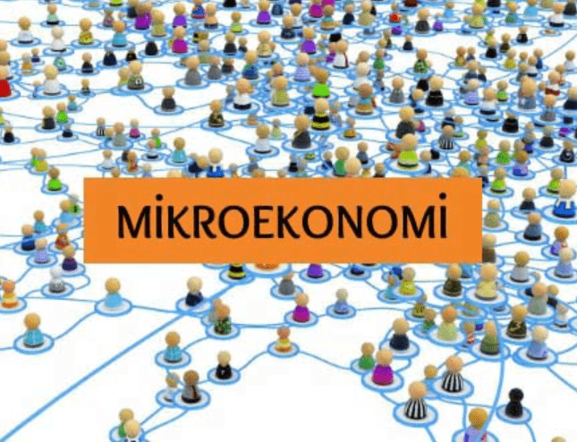 Pengertian Ekonomi Mikro